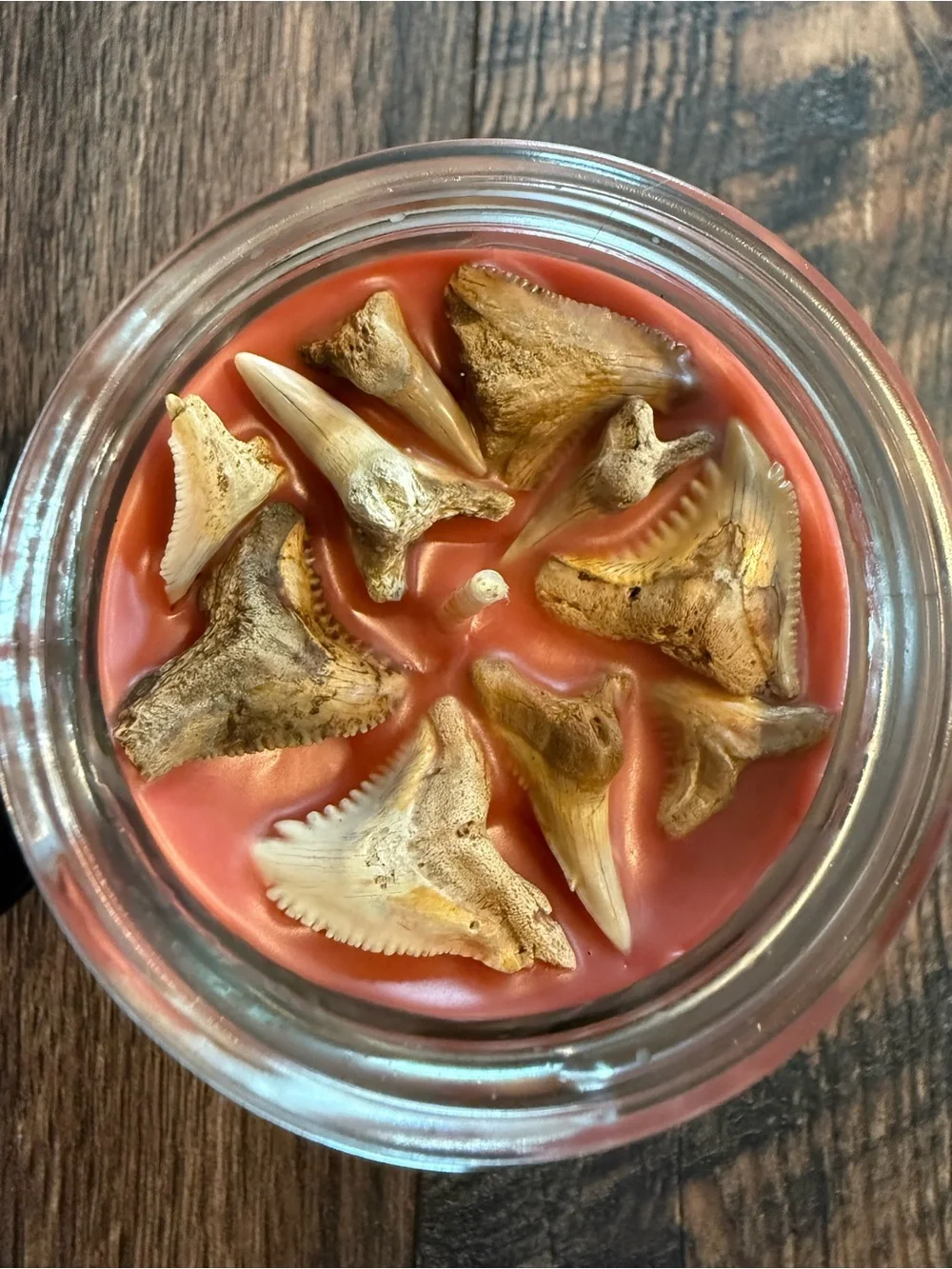 Shark tooth candle, shark teeth candle, shark candle, apple candle, shark week